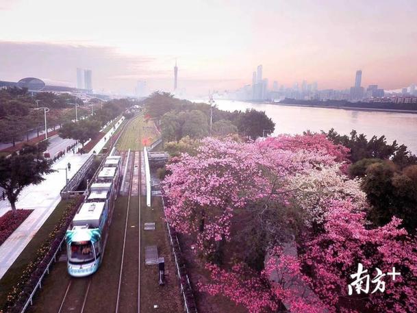 1578987467124705.jpg 4.jpg