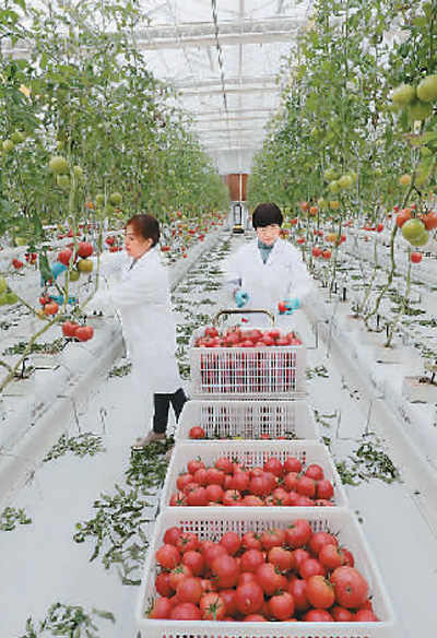 1615343988940177.jpg 微信图片_20210310103854.jpg