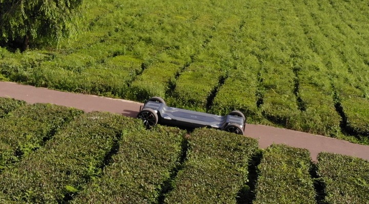 1681969324522943.jpg A2.jpg