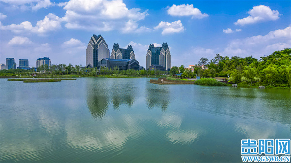 1685008539910562.jpg 1.jpg