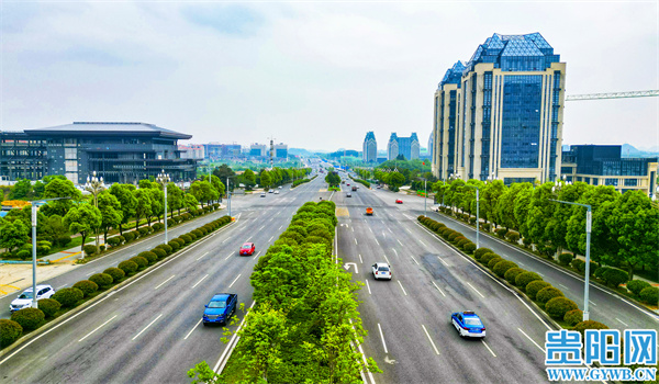 1685008597785624.jpg 5.jpg