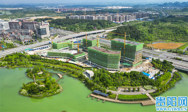 1685009100387178.jpg 8.jpg