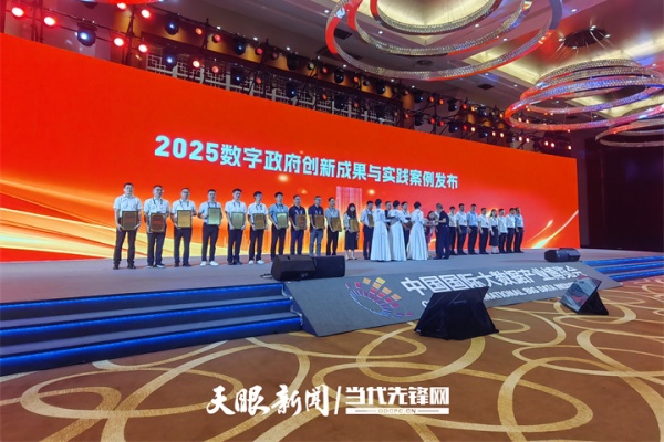 数字政府3.jpg
